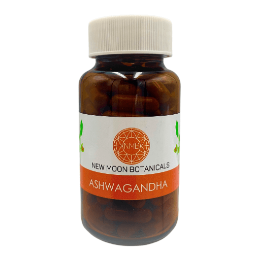 Ashwagandha (450mg) | The Stress Shield