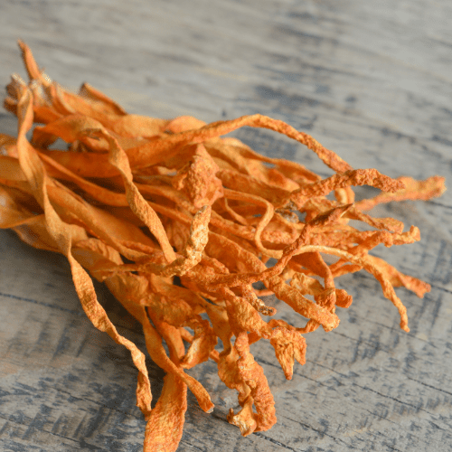 Cordyceps (500mg) | The Vitality Spark