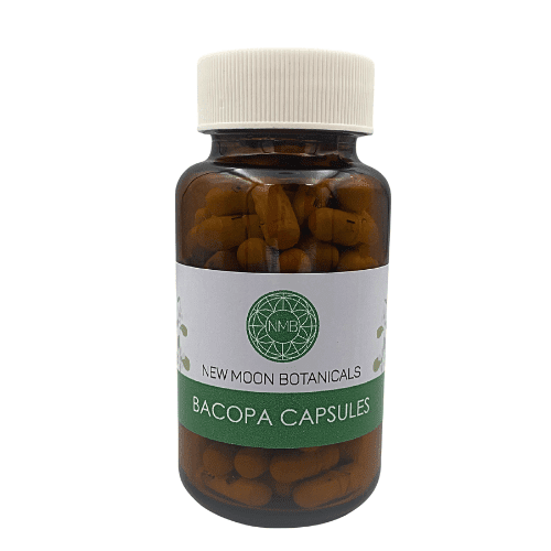 Bacopa Monnieri (450mg) | The Memory Architect