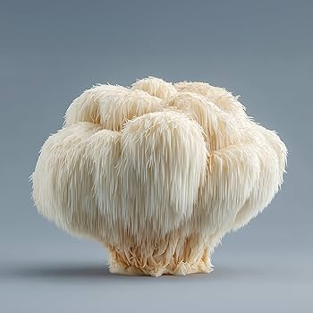 Lion’s Mane & Brain Health: Nature’s Support for Your Mind