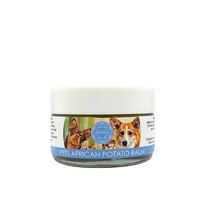Pet African Potato Balm | Paws & Protection