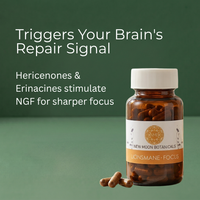 The Memory & Recall Bundle