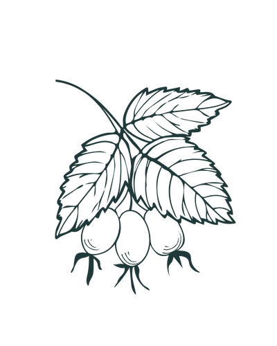 Rosehip oil