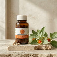 Ashwagandha (450mg) | The Stress Shield