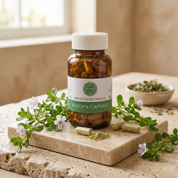 Bacopa Monnieri (450mg) | The Memory Architect