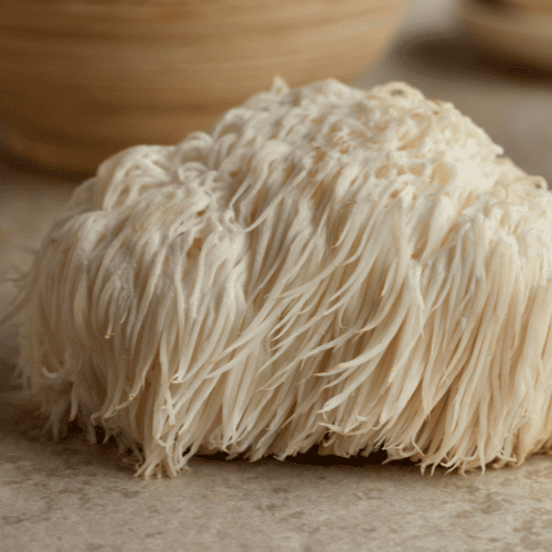 Lion’s Mane (500mg) | The Smart Mushroom