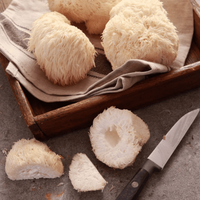 Lion’s Mane (500mg) | The Smart Mushroom