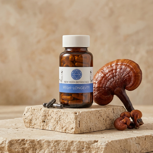 Reishi (500mg) | The Spirit Mushroom