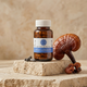Reishi (500mg) | The Spirit Mushroom
