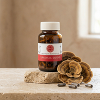 Turkey Tail (500mg) | The Inner Guardian