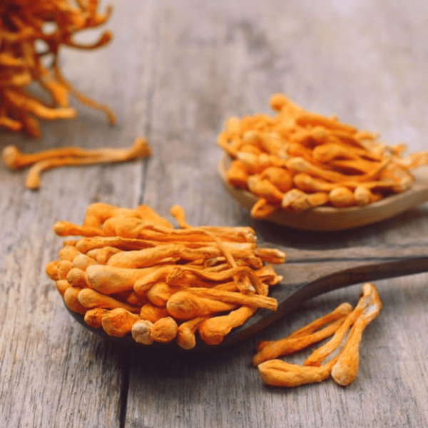 Cordyceps Mushroom Capsules - Vitality - Image 3