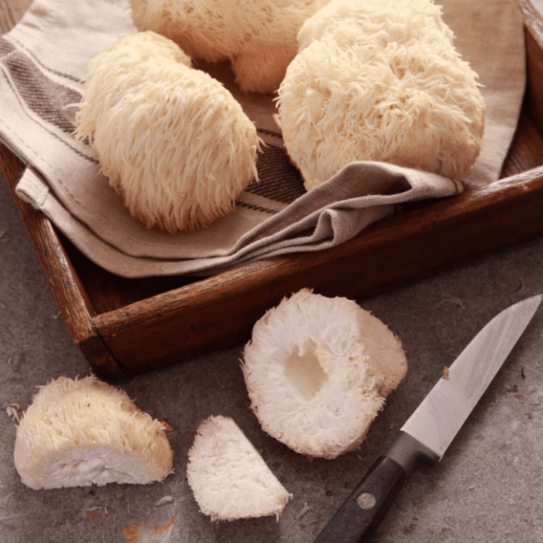 Lion's Mane Mushroom Capsules - Cognitive - Image 3