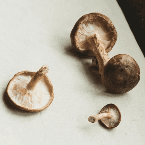 Shiitake Mushroom Capsules - Immunity - Image 4