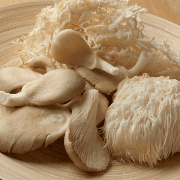 All In One - Elixir 5 Mushroom - Image 3